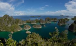 Safari nurkowe Raja Ampat dwa terminy marzec 2019