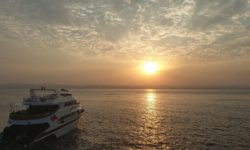 Safari Egipt trasa Rocky – Zabargad – Dedalus – FuryShoal 28.03-04.04.2020