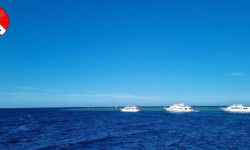 Safari Egipt trasa DALEKIE POŁUDNIE 16.11-23.11.2023